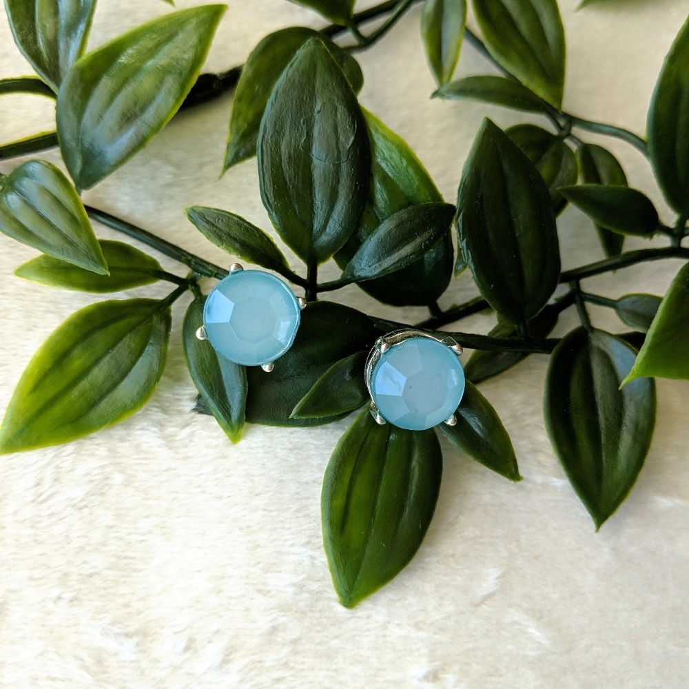 Blue Gemstone Style Stud Earrings